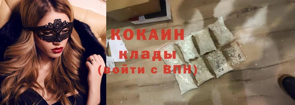 твердый Богородск
