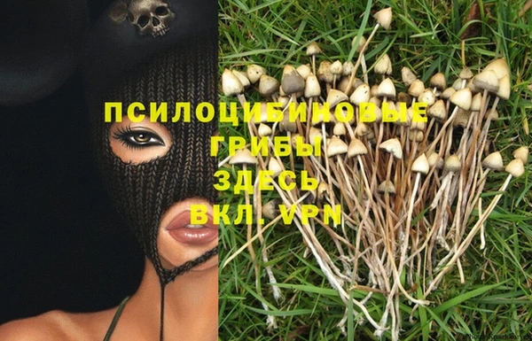 твердый Богородск