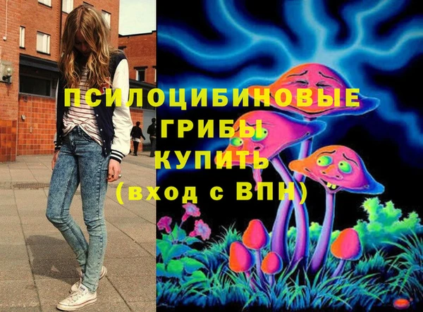 гашишное масло Богородицк