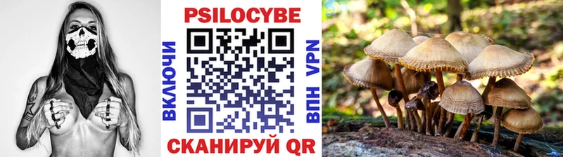 где купить   Енисейск  Псилоцибиновые грибы Cubensis 